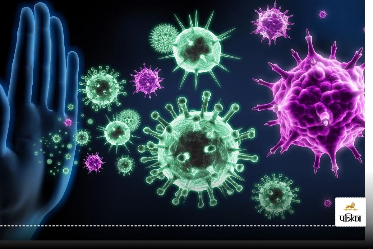 Immune System