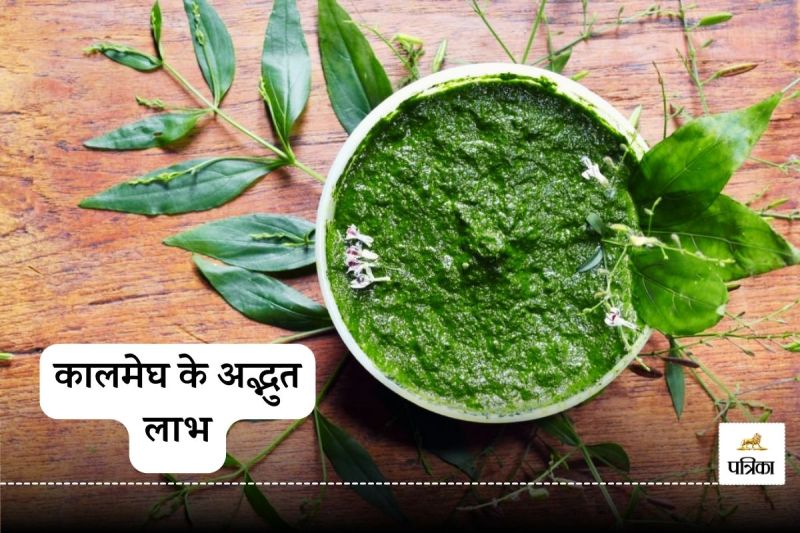 Kalmegh health benefits