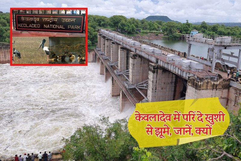 Rajasthan Karauli 20 Years of Drought Ends Ghna happiness increases