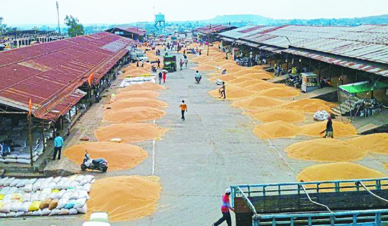 - हर बार किसान, हम्माल व व्यापारी होते हैं परेशान