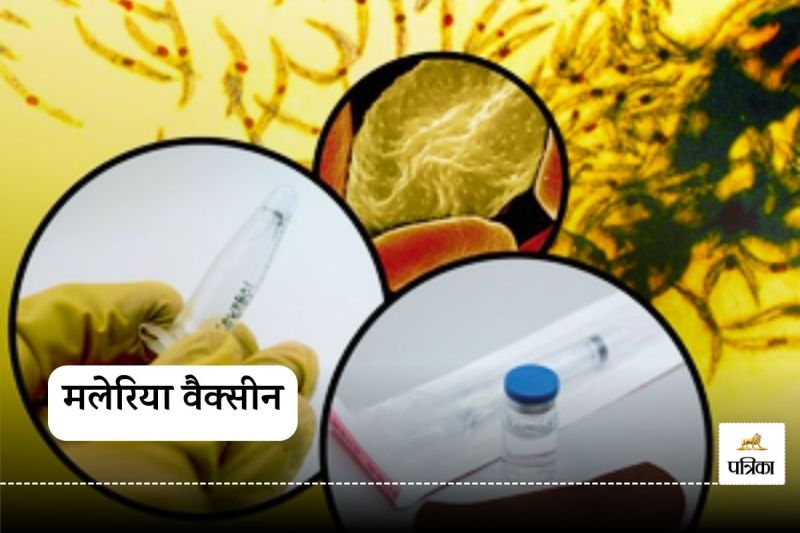 New Malaria Vaccine to Shield Pregnant Women from Malaria