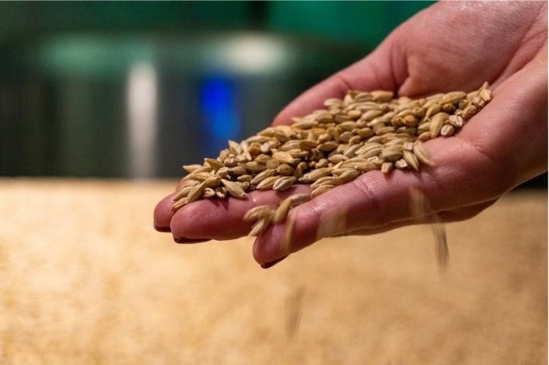 Food Security Scheme rajasthan