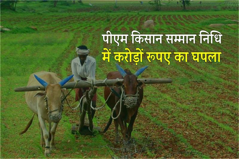 PM Kisan Samman Nidhi Scam