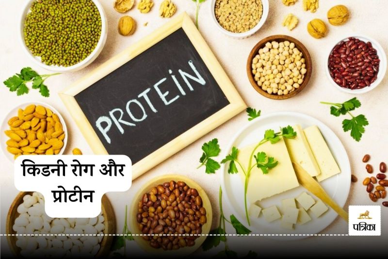 Protein-Rich Diet May Reduce Mortality in Kidney Disease Patients
