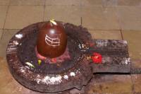 Rudrabhishek Stotram path vidhi