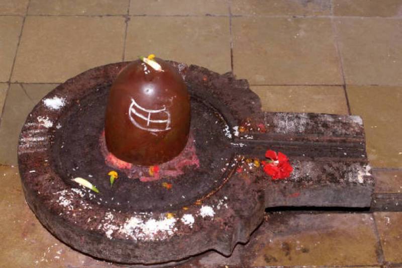 Rudrabhishek Stotram path vidhi