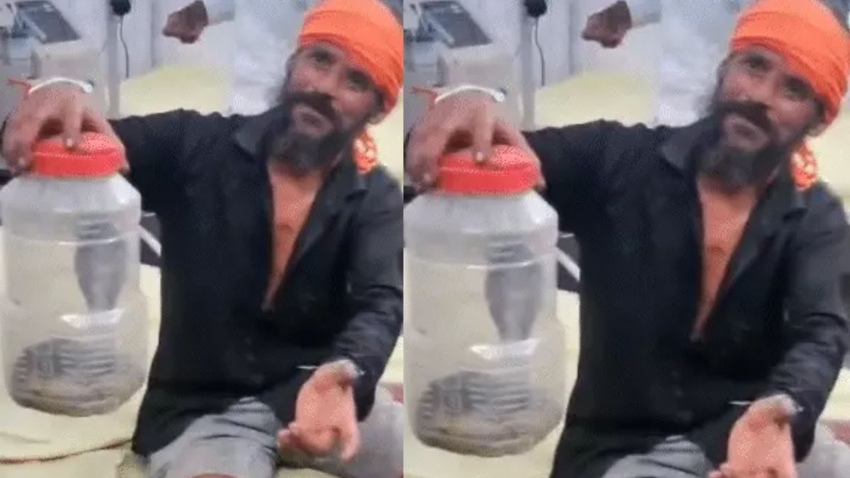 Video Viral: कोबरा ने काटा तो डिब्बे में किया बंद, डॉक्टर को बोला-इसी ने काटा,
बचा लीजिए