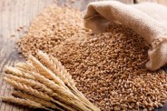 Wheat Datia