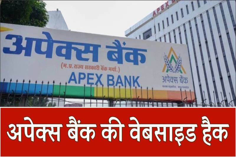 apex bank
