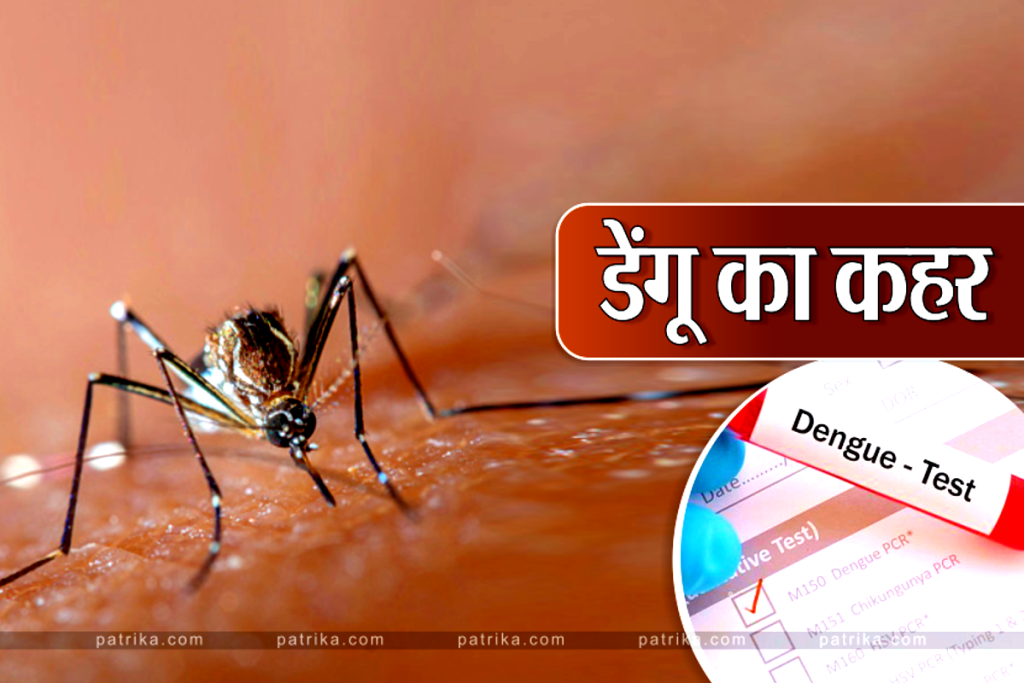 dengue malaria Disease: government figures only for malaria patients in 7 months!