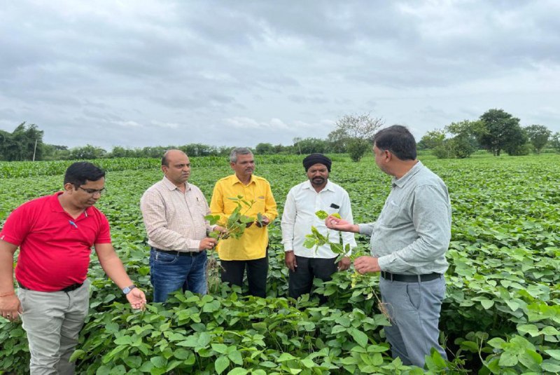 फसल के रोग देख किसानों को सलाह देते कृषि वैज्ञानिक।