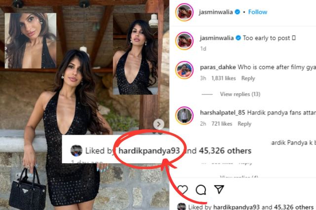 hardik pandya likes jasmin post