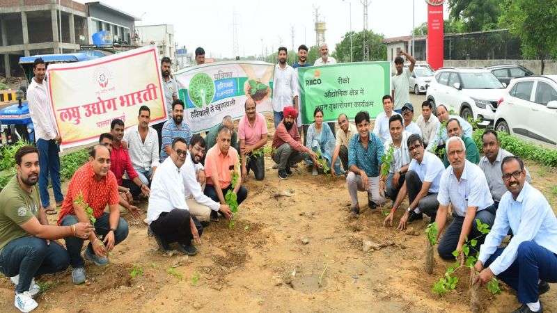 plantation palra