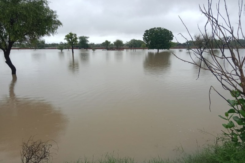 heavy rain in jodhpur