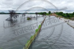 Rajasthan Rain: राजस्थान के इस बांध पर 24 साल में दूसरी बार चली चादर, 8 साल बाद
नदी में पानी आया तो झूमे ग्रामीण - image