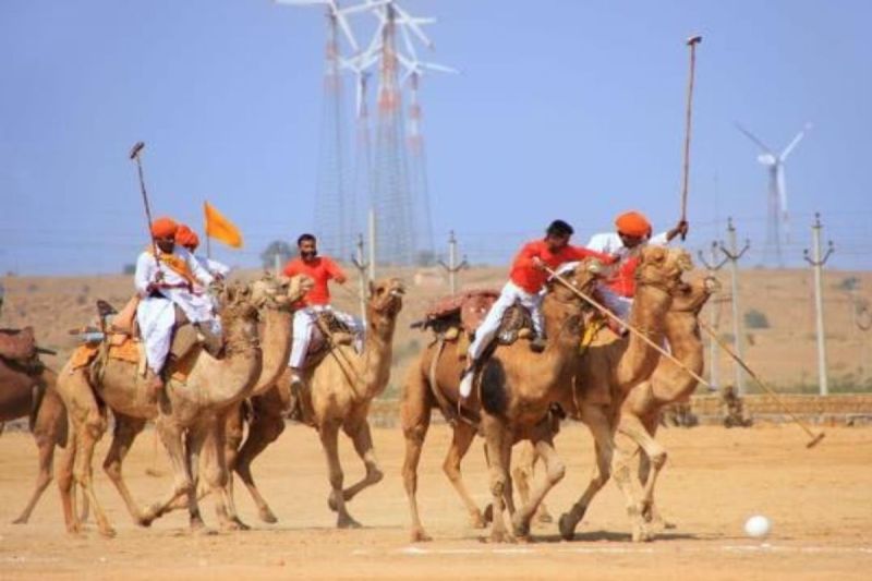 camel polo racing