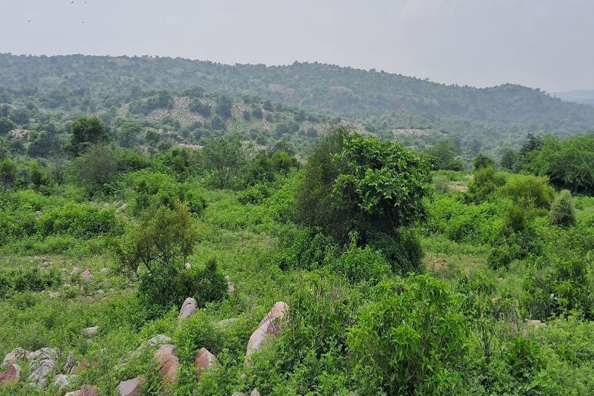 सारेकलां का दुर्गम पहाड़; जहां आतंकियों ने बनाया था अपना ठिकाना… देखें ये वीडियो