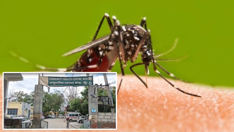 prevent malaria and dengue