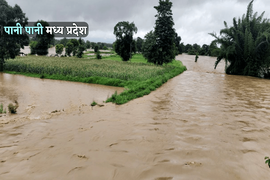 Heavy Rain Alert