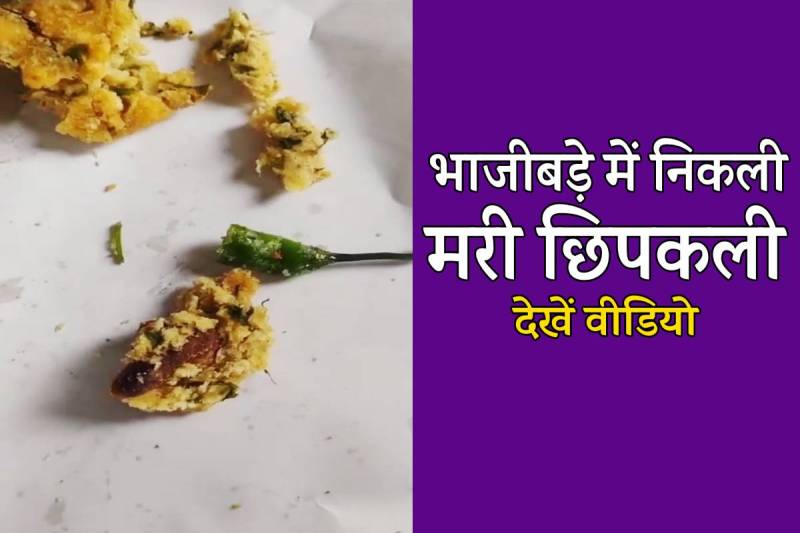 lizard found in Bhajibada