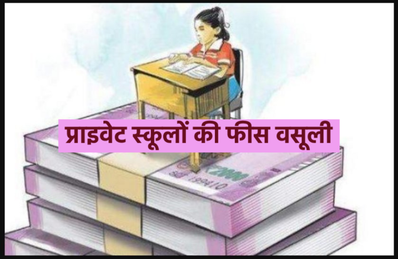 Stemfield International School Jabalpur