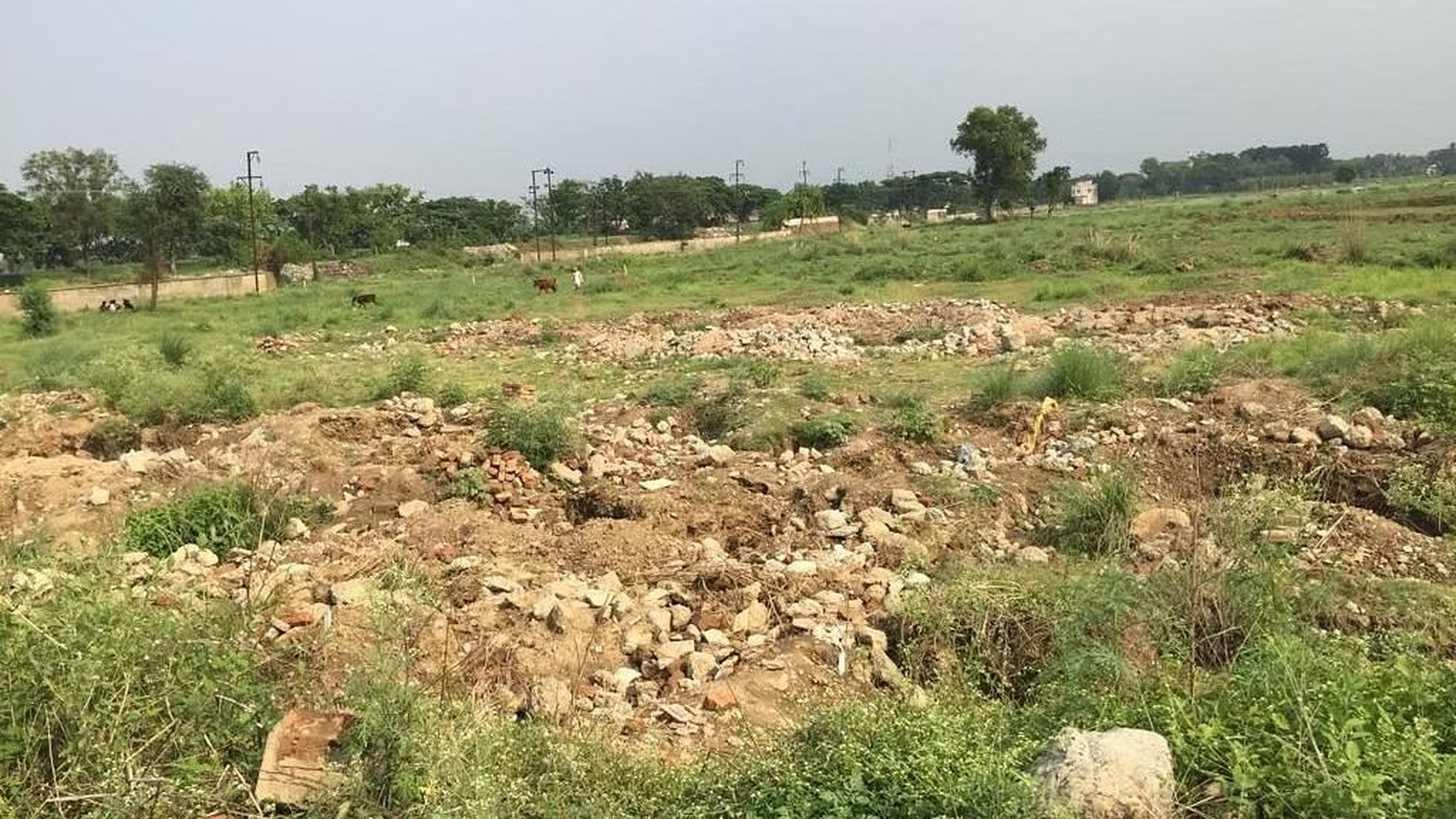 पश्चिम बंगाल के सिंगूर में किसान फिर जला सकते हैं भूमि आंदोलन की मशाल