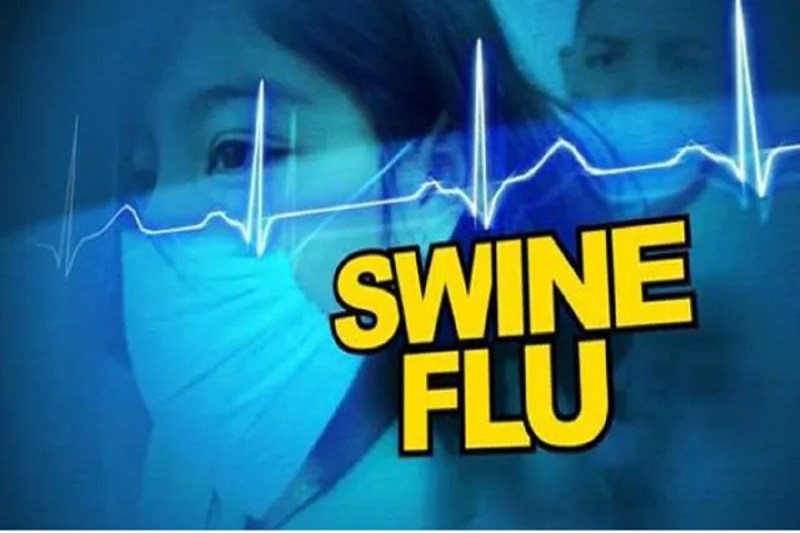 Swaine flu in cg: raipurnews chhattisgarhnews