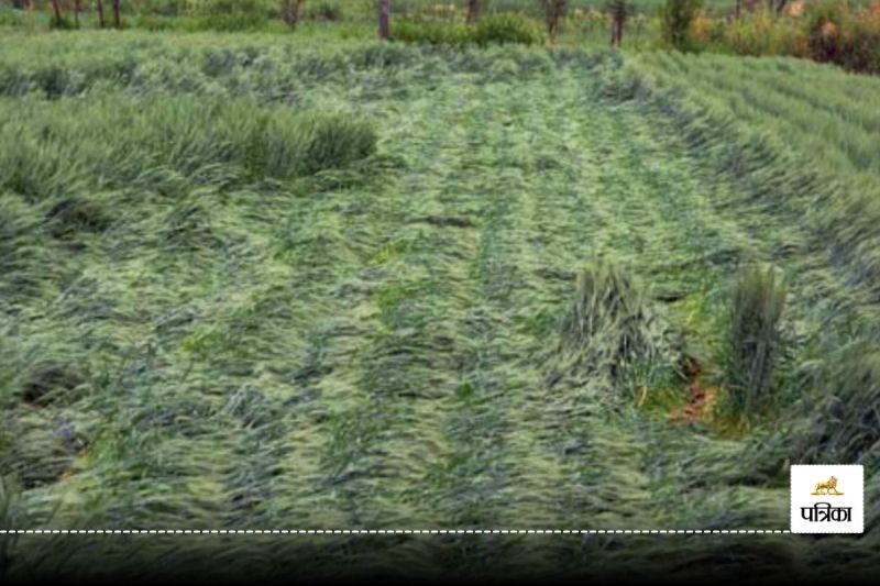 yogi government give Rs 150 crore to flood victims till now 1.25 lakh farmers got compensation of Rs 71 crore