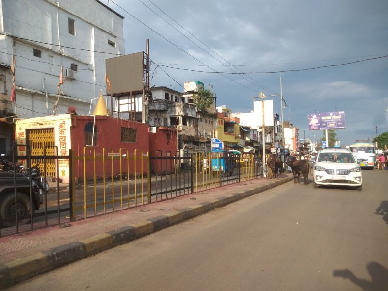 आवारा मवेशी