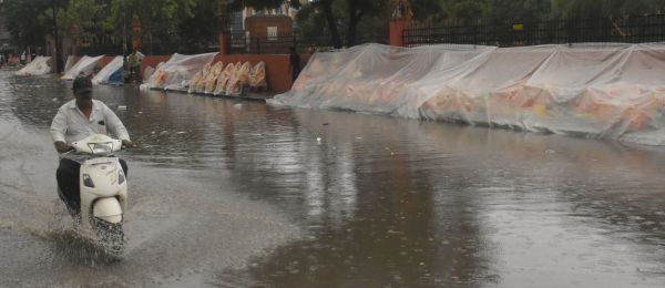 It rained drizzling fruits