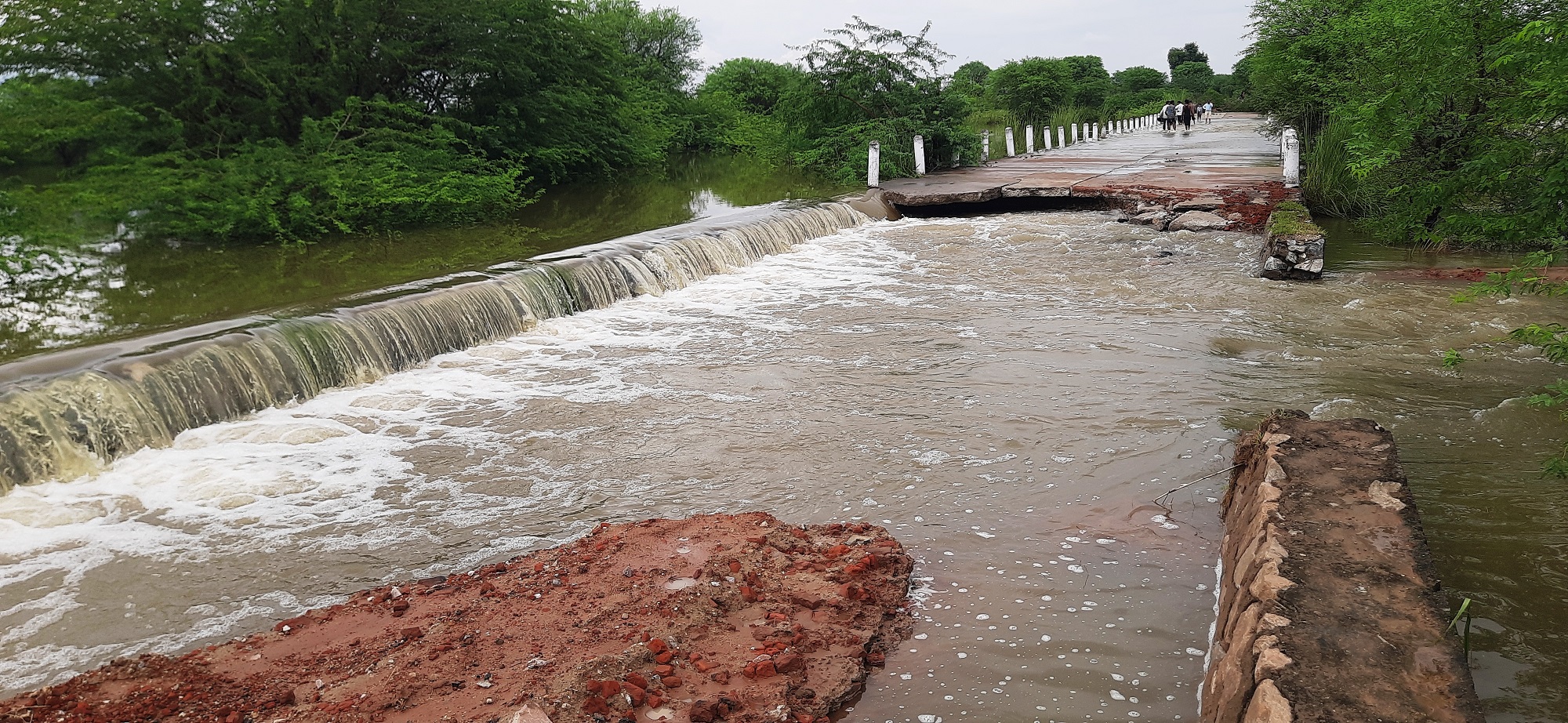 जयपुर के पास बांडी नदी में फिर आया उफान, तेज बहाव में बह गई सड़क