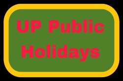 UP Public Holidays: सितंबर में 3 दिन की छुट्टी – सरकारी और प्राइवेट बैंक, स्कूल,
कॉलेज क्यों रहेंगे लगातार बंद  - image