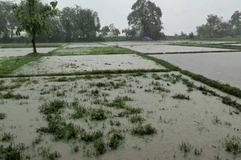 किसानों की चिंताएं बढ़ीं, फसलों पर असर