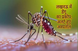 डेंगू ने बढ़ाई योगी सरकार की चिंता, 24 घंटे में 21 मरीज मिलने से स्वास्थ्य महकमे
में हड़कंप, एडवाइजरी जारी - image