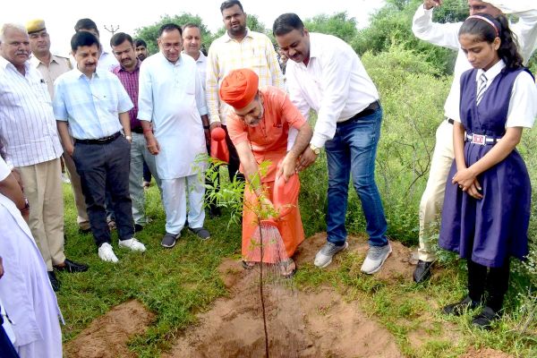 36 bigha farm turned into a forest, a refuge for wildlife