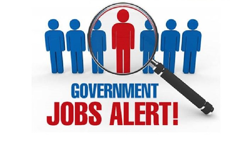 Government Job