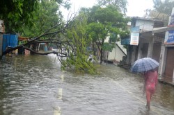 Weather Update: तीन दिनों की बारिश के बाद लखनऊ का तापमान गिरा, सोमवार से मौसम
में सुधार की उम्मीद - image