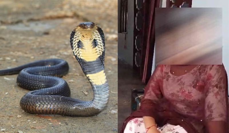 A snake is chasing a girl