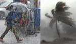 IMD Forecast