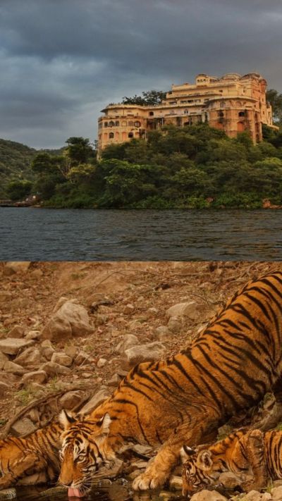 Short video poster image