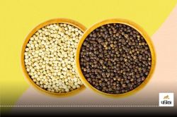 Black and White Pepper Benefits: स्वास्थ्य का अनमोल खजाना, आंखों और दिमाग के लिए
विशेष लाभ - image