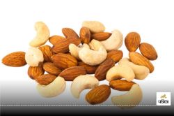 Cashews And Almonds : इन बीमारियों में भूल कर भी नहीं करें काजू, बादाम सेवन, हो
सकती है अनेक समस्याएं - image