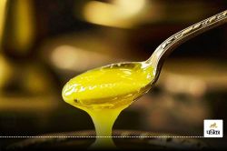 Ghee vs oil cooking : रोजाना कुकिंग के लिए घी से बेहतर विकल्प हैं तेल? जानें
सच्चाई - image