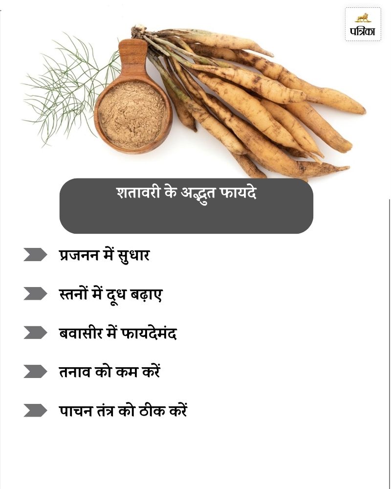 Shatavari Benefits