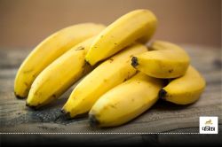 Benefits of eating bananas : एक केले का सेवन आपको रखेगा कई बीमारियों से दूर,
जानिए फायदे - image