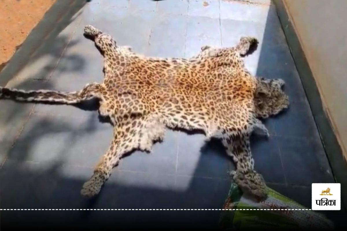 Leopard Skin Smuggling: वन विभाग को मिली बड़ी कामयाबी, तेंदुए की खाल के साथ
छत्तीसगढ़ का तस्कर तेलंगाना में गिरफ्तार