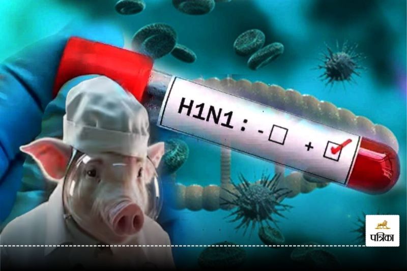 Swine flu in CG