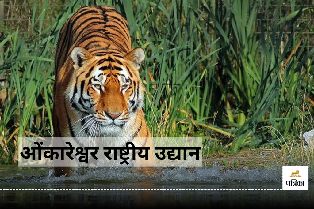 Omkareshwar National Park