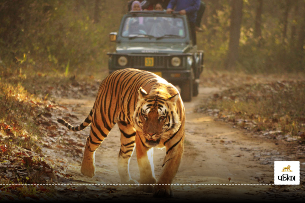 kanha national park