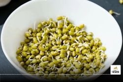 Sprouts Benefits : कैंसर जैसी बीमारी को मात देता है अंकुरित अनाज, जानिए इसे खाने
के फायदे - image